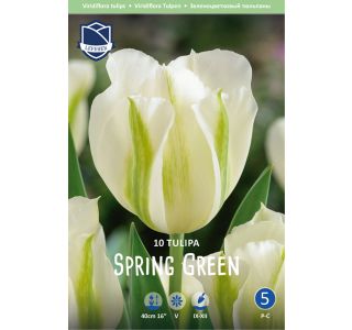 SPRING GREEN (10 KOS) SPRING GREEN (10 KOS)