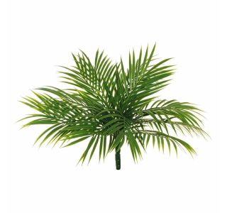 UMETNO CVETJE EVERGREENS AREKA ZELENJE