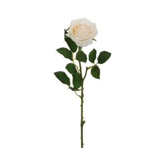 UMETNO CVETJE EVERGREENS EKVADOR VRTNICA NA STEBLU KREM 65 CM