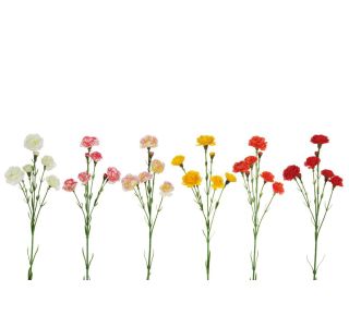 UMETNO CVETJE EVERGREENS NAGELJ MIX NA STEBLU RAZLIČNE BARVE CVETOV