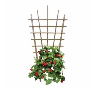 VETRNA MREŽA 105X195 CM REŠETKA ZA ROŽ SMREKA