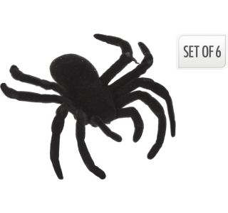 VSE ZA NOČ ČAROVNIC EH PAJEK, 6/1, ČRN