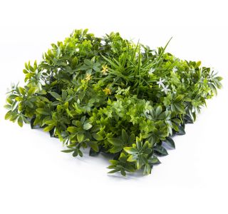 ZELENA STENA INTER CERAMIC FARO 50X50 CM POLIETILEN ZELENA