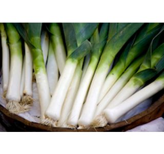 ZELENJAVNA SADIKA POR 9 KOS