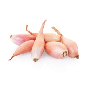 ZELENJAVNA SADIKA ŠALOTKA 9 KOS