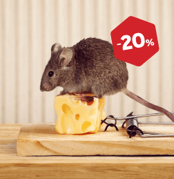 Zaščita pred glodalci