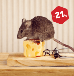 Zaščita pred glodalci