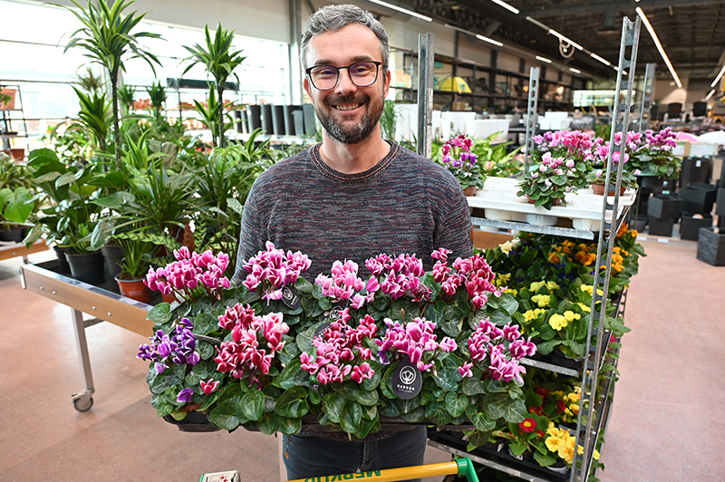 Cvetočo lepotico dognojujemo samo v času cvetenja.