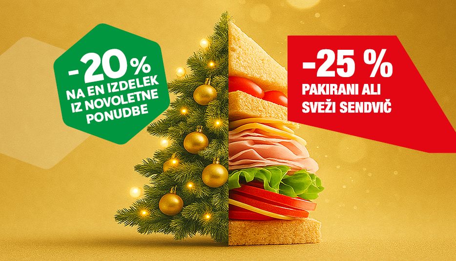 Električno kolo za mestno vožnjo