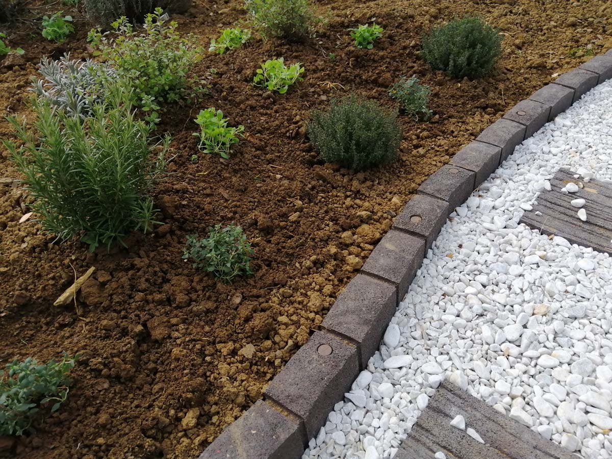 V aprilu sadimo zelišča in dišavnice