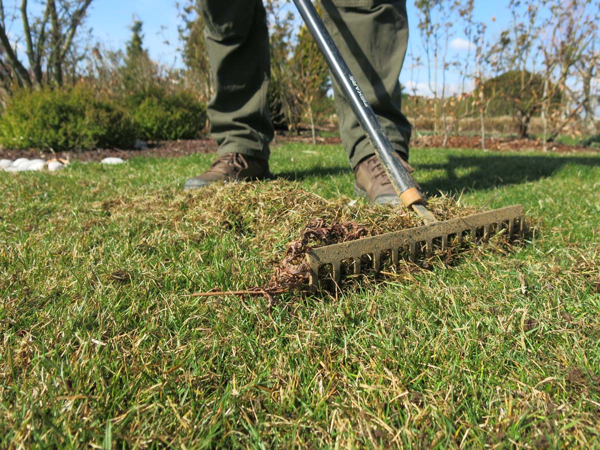 Trato aprila naprej pregrabimo in prezračimo