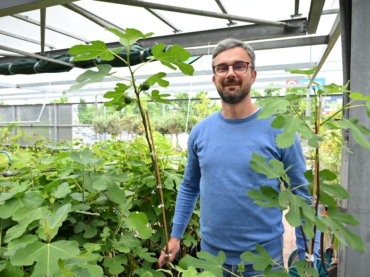 Posadite svojo figo in uživajte v vrtnarjenju. Posadite svojo figo in uživajte v vrtnarjenju.