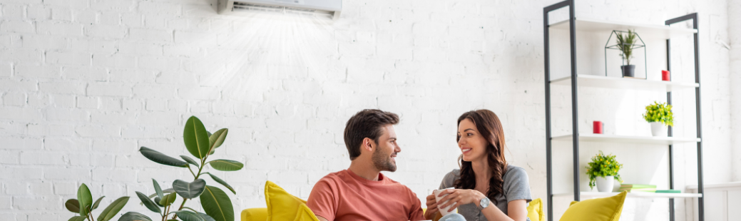 Povzetek in priporočila za nakup