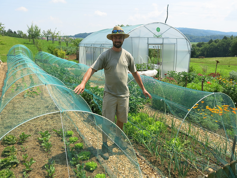 Mreža proti toči in loki zaščitijo pridelek na vrtu.
