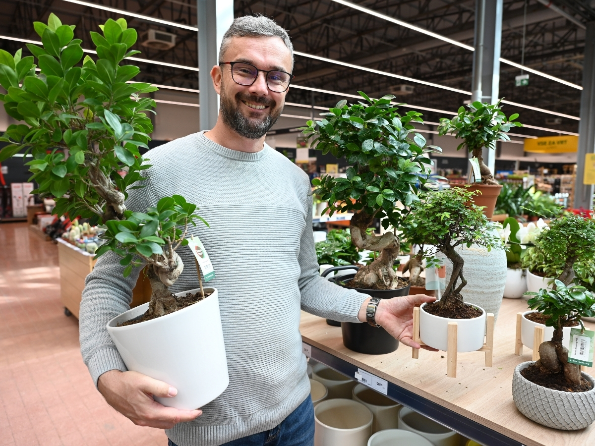 Posadite svojo figo in uživajte v vrtnarjenju.