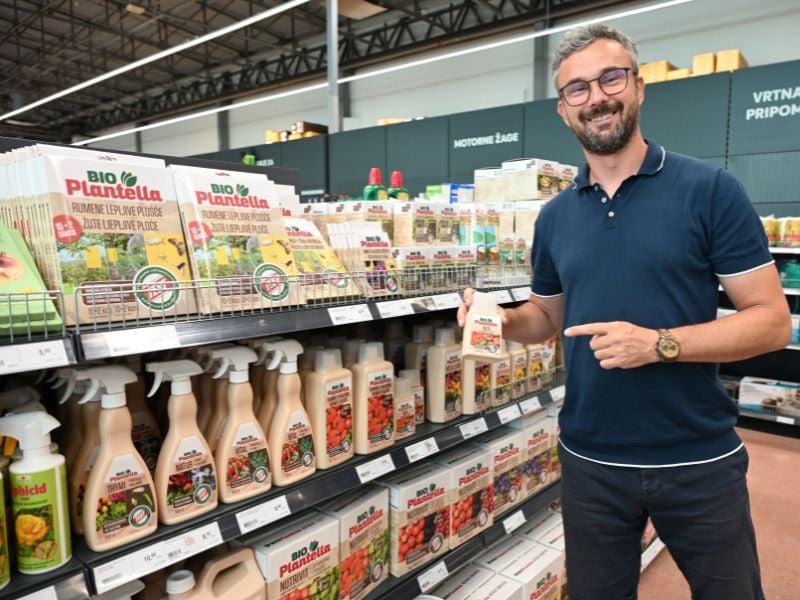 Paradižnik obvezno škropimo s kalcijem, da ne črni na dnu ploda.