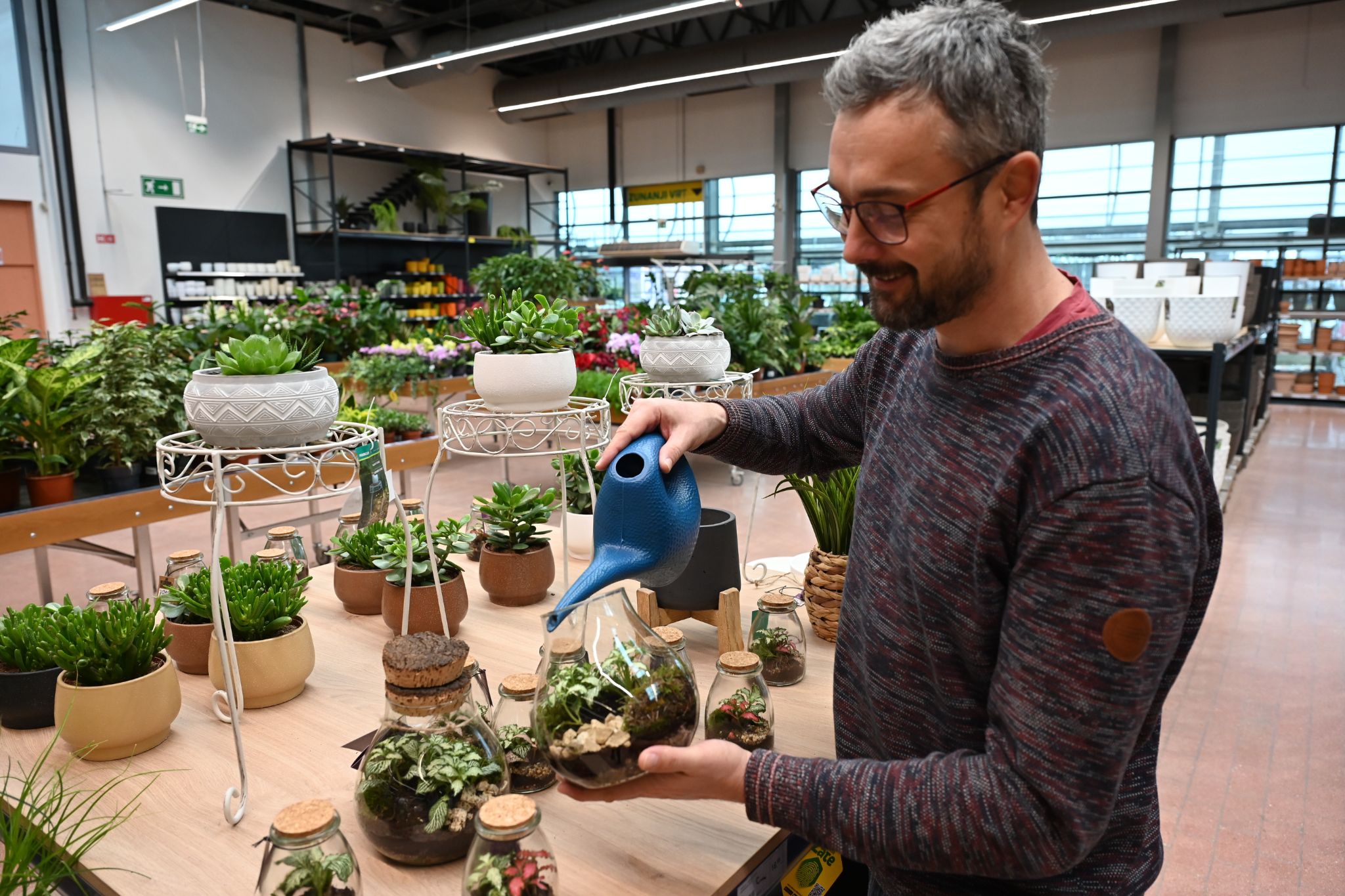Rastlinski terarij zalivamo redko in zmerno.