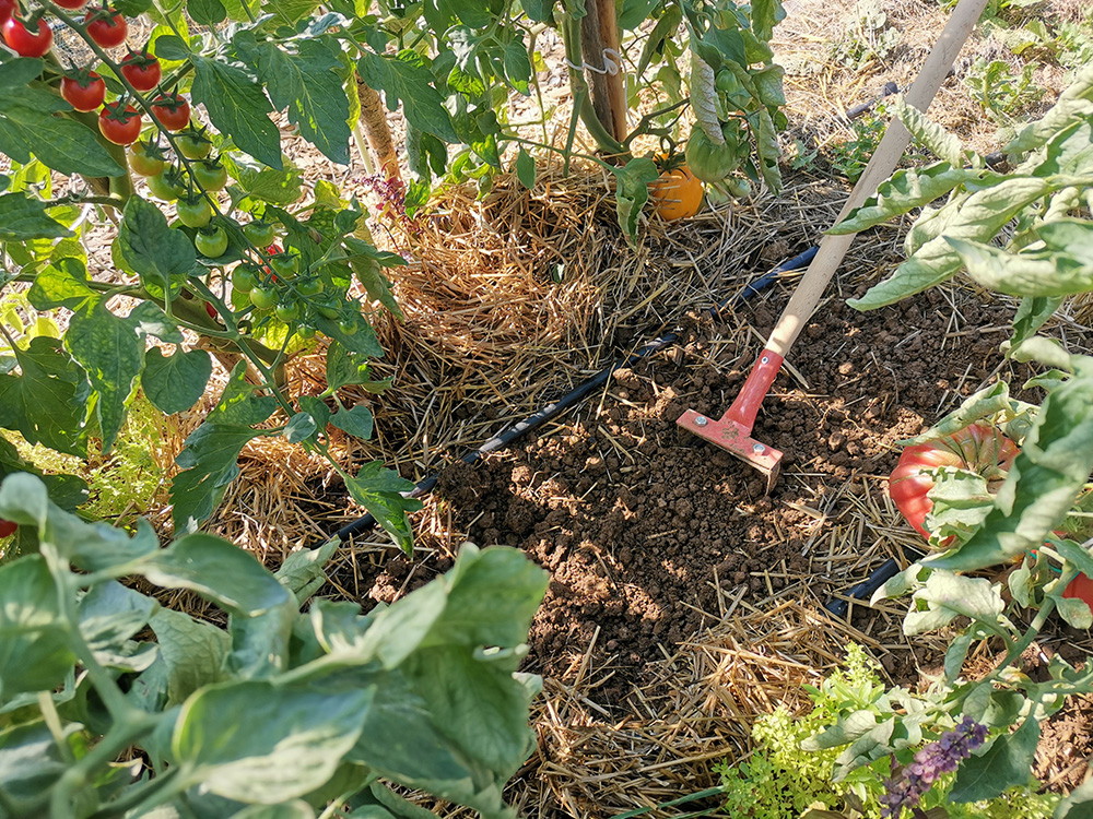Zastrta, okopana tla so manj zbita zaradi nalivov, manjša je tudi poraba vode.