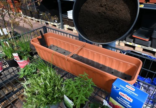 V korito z vodno rezervo smo dodali zemljo za balkonske rože.