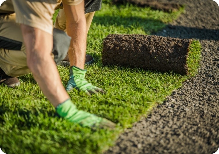 Polaganje travne ruše Polaganje travne ruše