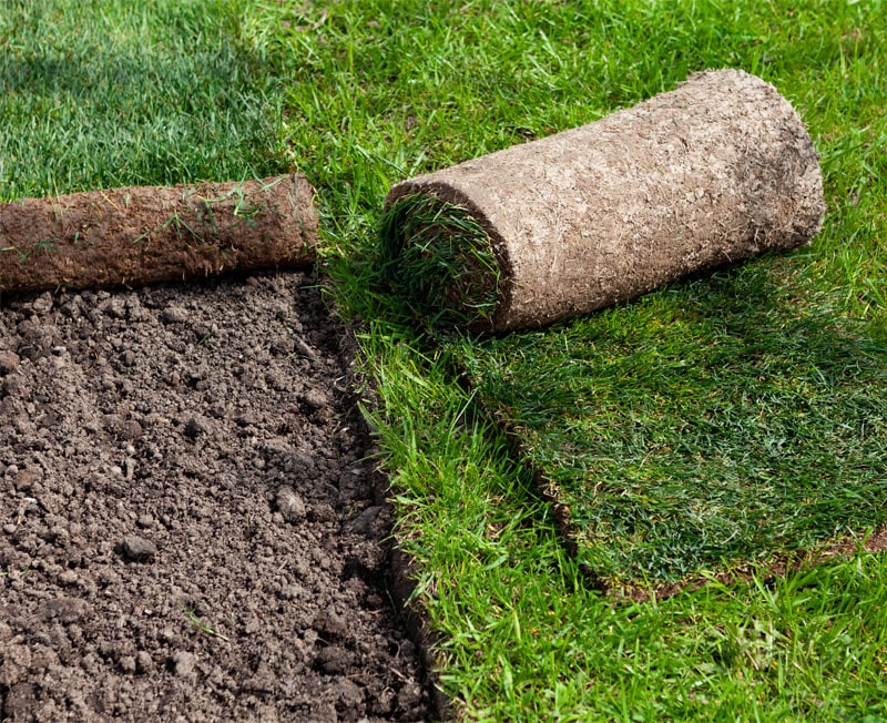 Polaganje travne ruše - Mojstrske storitve - MERKUR