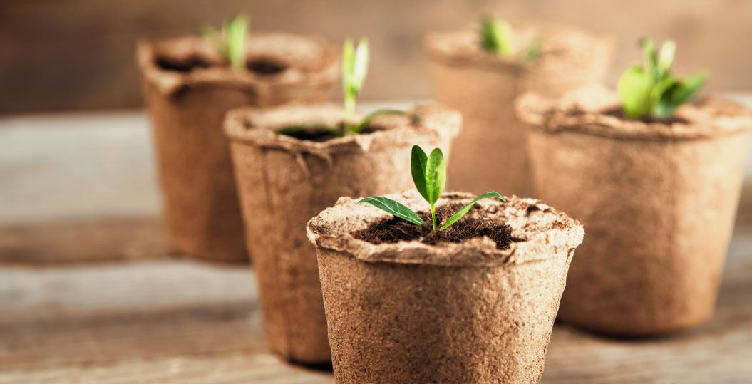 Svetujemo in pomagamo