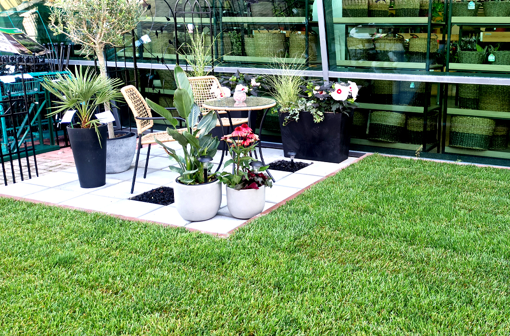 Travna ruša, MERKUR Travna ruša, MERKUR