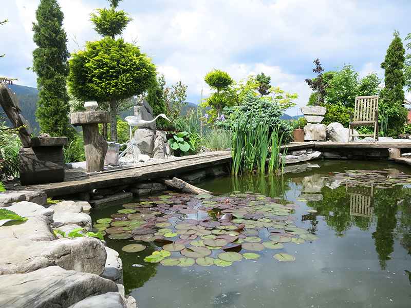 Vodne rastline poživijo ribnik