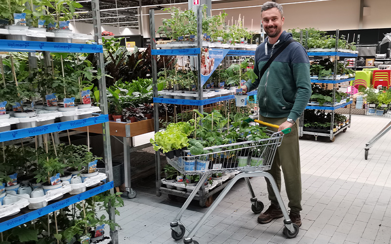 V Merkurju je na razpolago velika izbira sadik, ki jih sadimo v maju V Merkurju je na razpolago velika izbira sadik, ki jih sadimo v maju