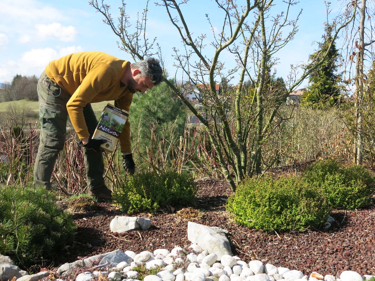 Poskrbite, da rastline ne bodo lačne 