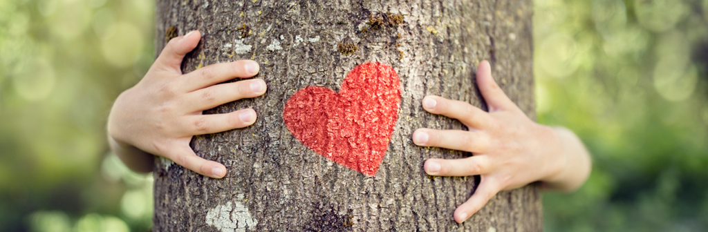 Druzbena odgovornost