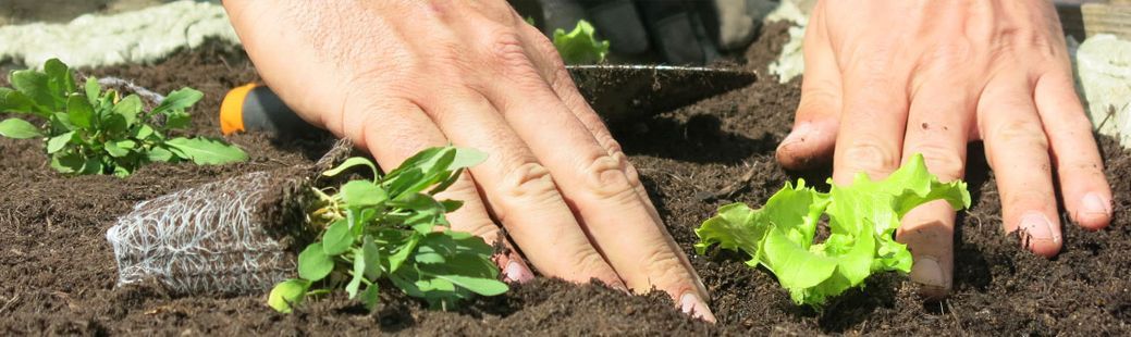 April na vrtu: sajenje, urejanje in vzdrževanje