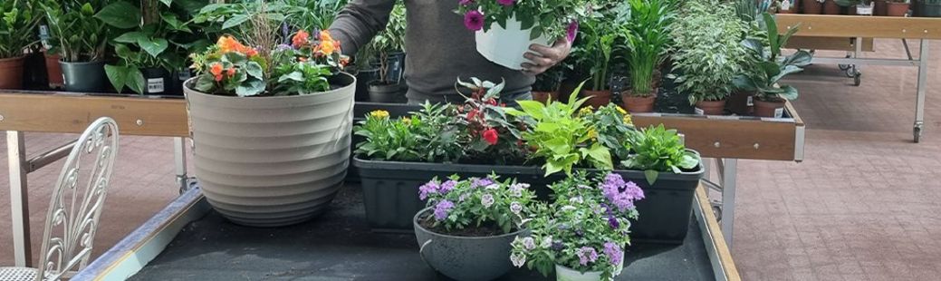 Enostavne zasaditve okrasnih rastlin za cvetoč balkon