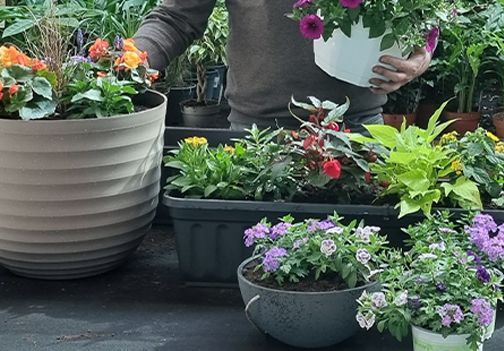 Enostavne zasaditve okrasnih rastlin za cvetoč balkon 