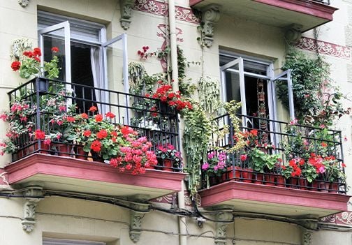 Izbira balkonskega cvetja