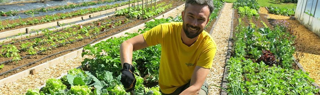 Kopriva gnoji in krepi rastline pred škodljivci