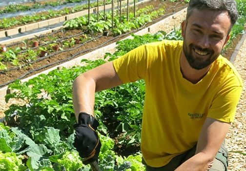 Kopriva gnoji in krepi rastline pred škodljivci