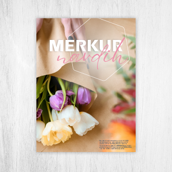 MERKUR Navdih