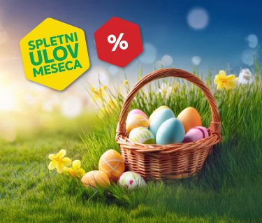 SPLETNI ULOV MESECA