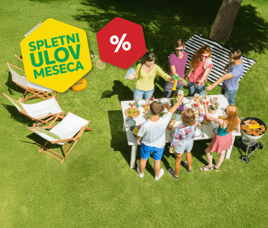 SPLETNI ULOV MESECA