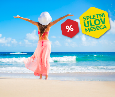 SPLETNI ULOV MESECA