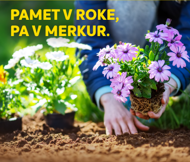 Roke so naše najmočnejše orodje