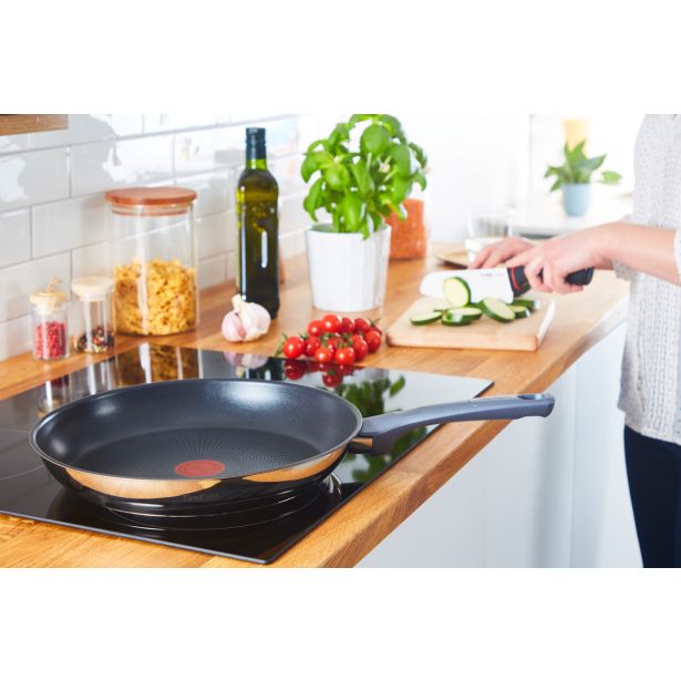 PONEV TEFAL 24 CM DAILY COOK