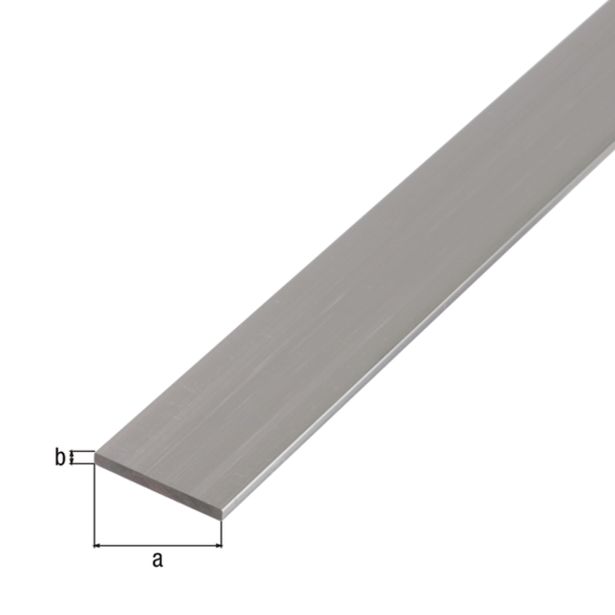 PLOSKA PALICA ALBERTS ALU, 25X2X2600 MM