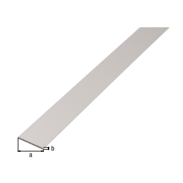PLOSKA PALICA ALBERTS ALU, 30X2X2600 MM SIVO ELOKSORANA