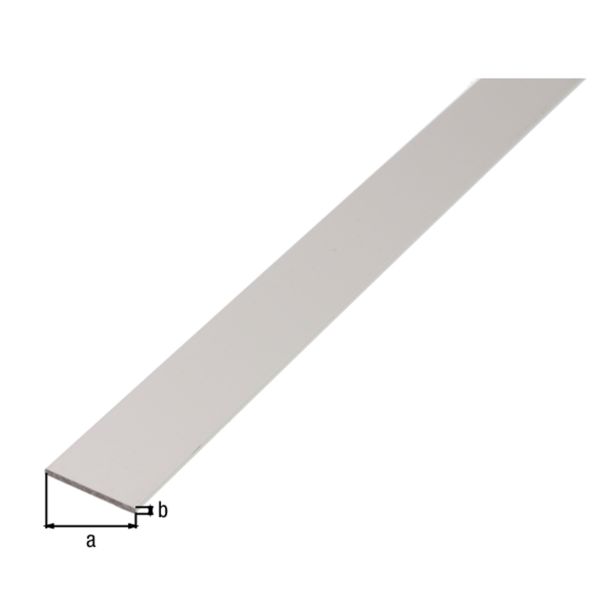 PLOSKA PALICA ALBERTS ALU, 40X3X2600 MM SIVO ELOKSORANA