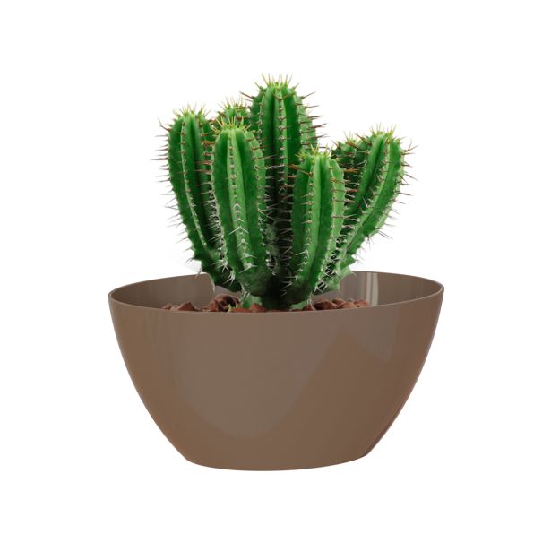 PE NOTRANJI LONEC BAHIA PLANT BOX TAUPE OVAL 22X13 CM