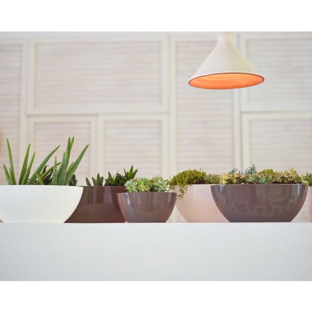 PE NOTRANJI LONEC BAHIA PLANT BOX TAUPE OVAL 22X13 CM