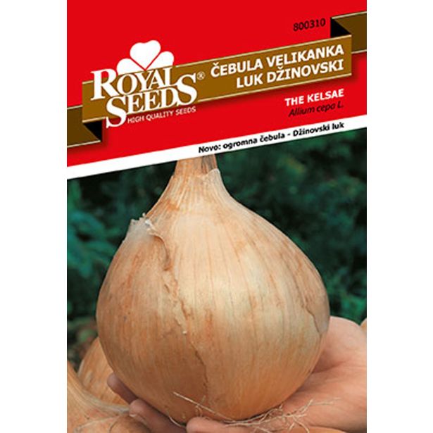 ČEBULNICA ROYAL SEEDS ČEBULA VELIKANKA 310