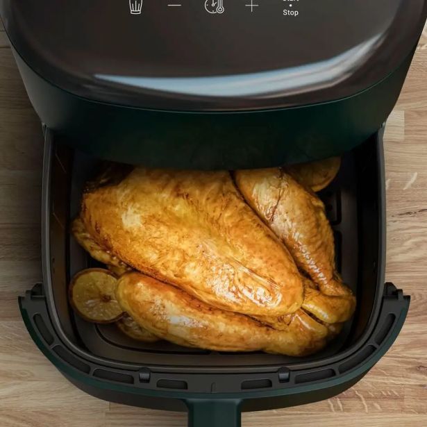 CVRTNIK NA VROČI ZRAK TEFAL EY245310 EASY FRY